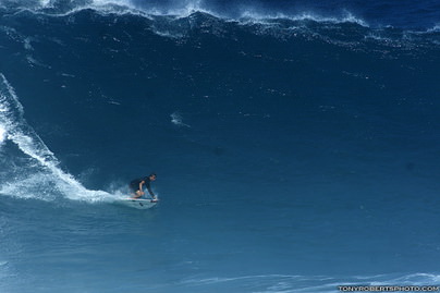 lozanohawaiiportada