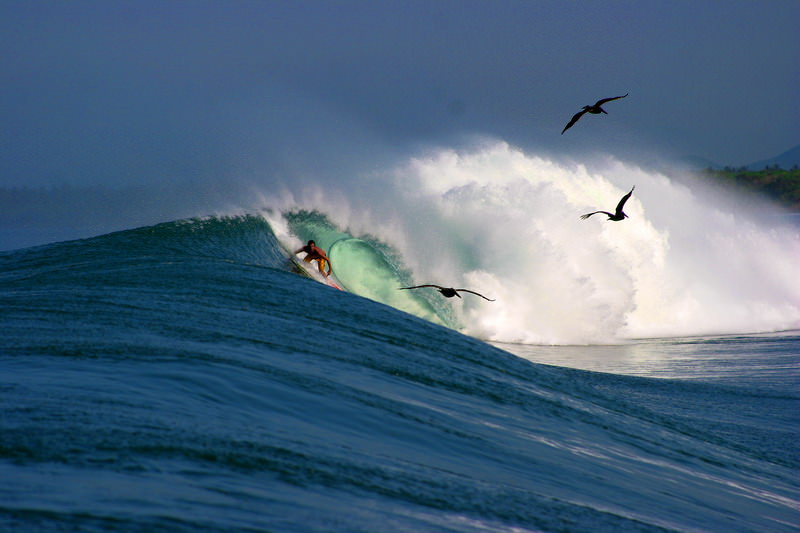 nacidos para surfear8