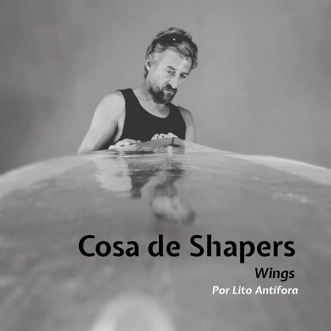 COSA DE SHAPERS: WINGS… ¿CÓMO FUNCIONAN?